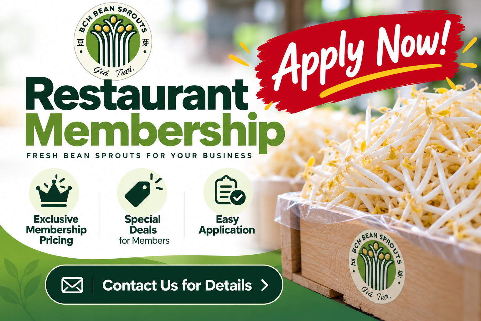 BCH Restaurant Membership — Apply Now! Exclusive membership pricing, special deals for members, and easy application. Contact us for details.